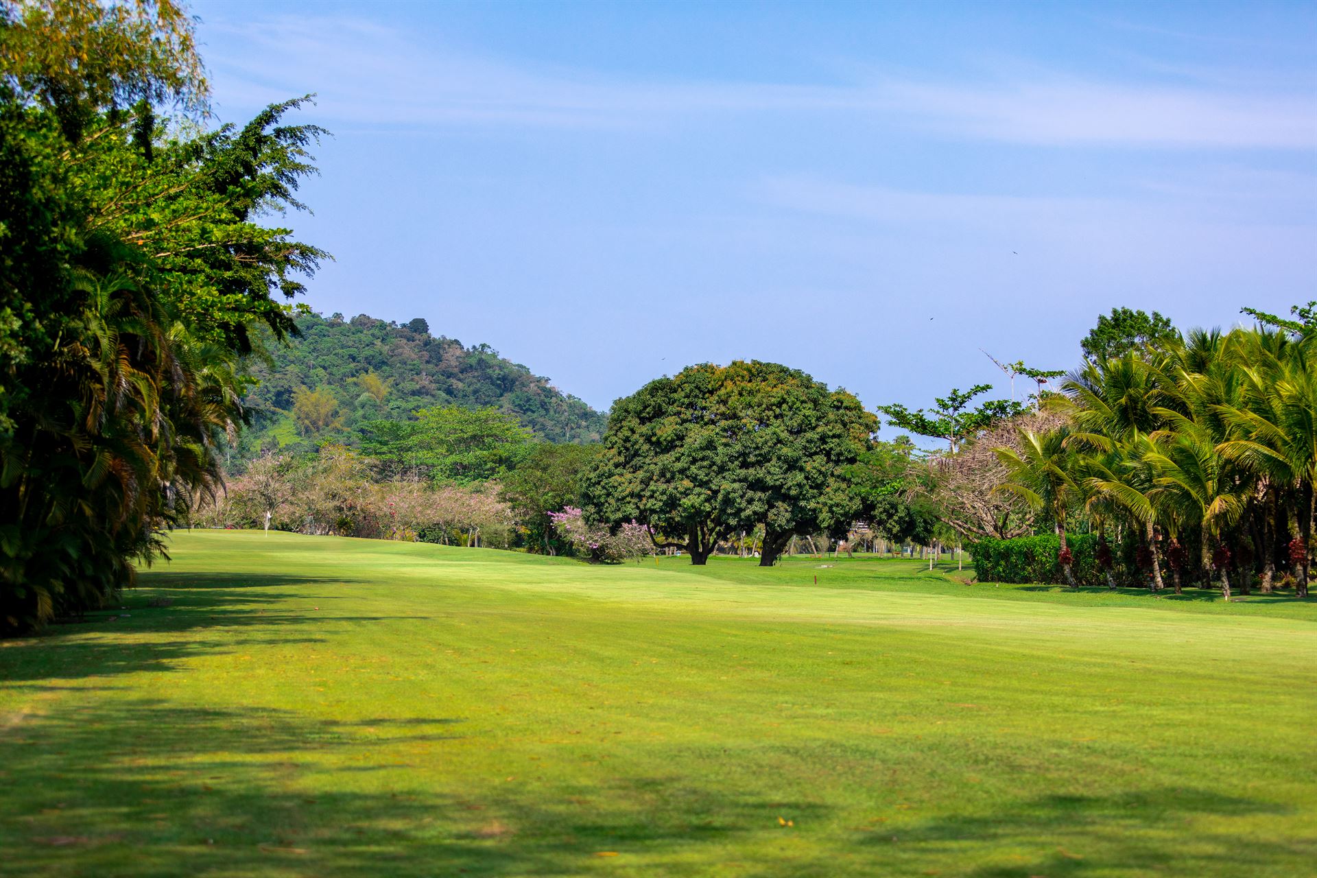 Aluguel casa de luxoLaranjeiras, Villa 13