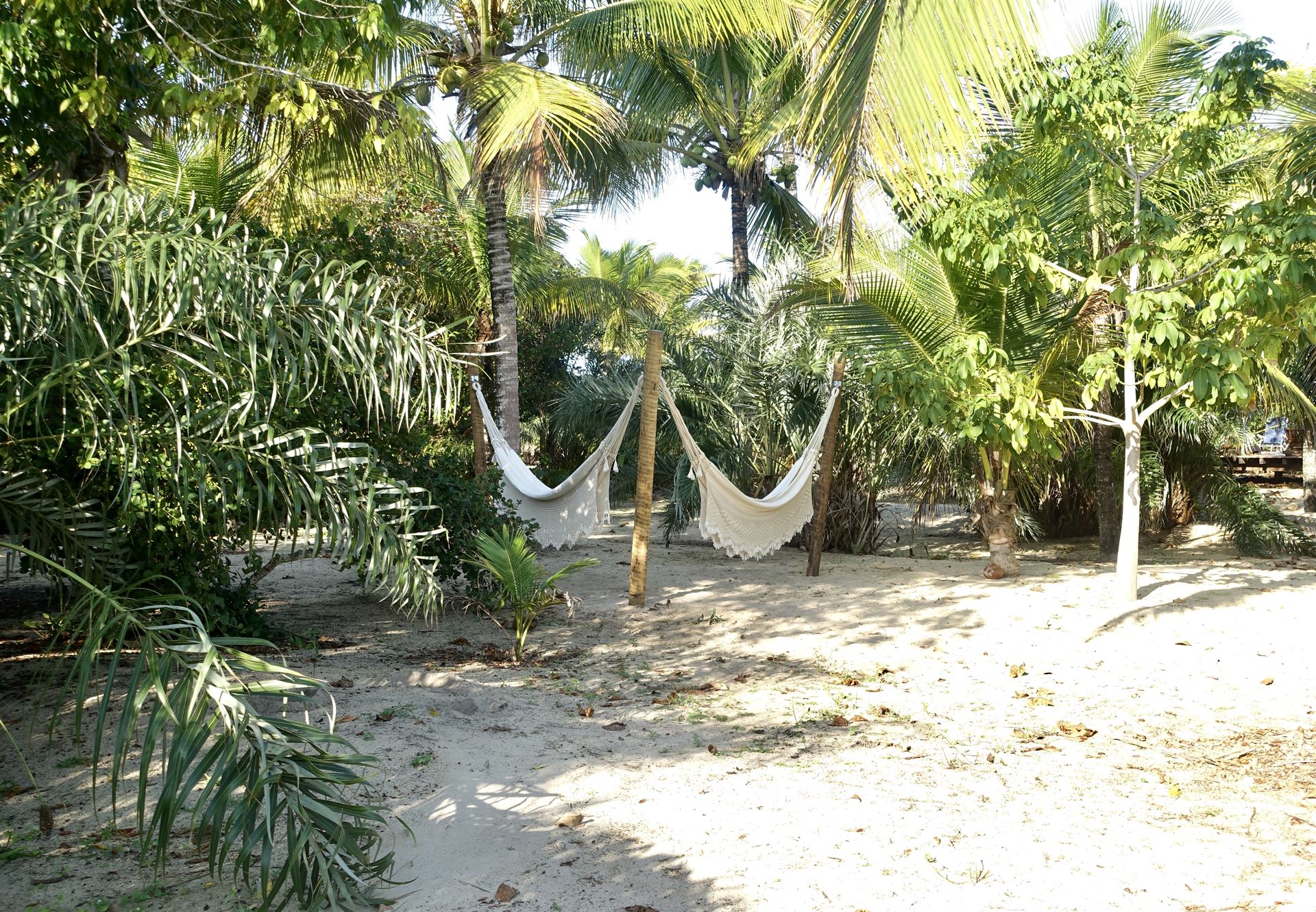 Aluguel casa de luxoSanto Andre Villa 01