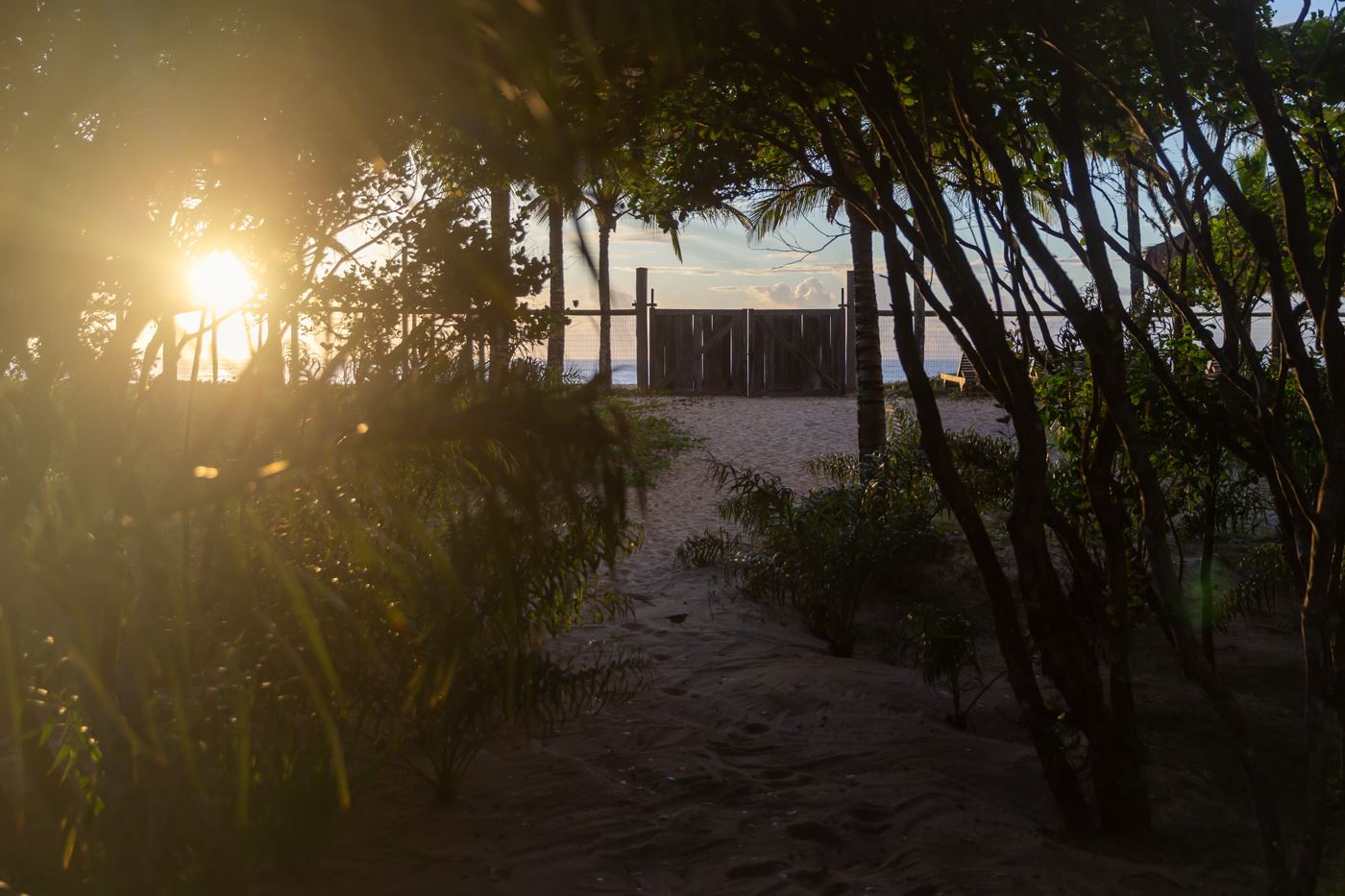 Aluguel casa de luxoTrancoso, Villa 17