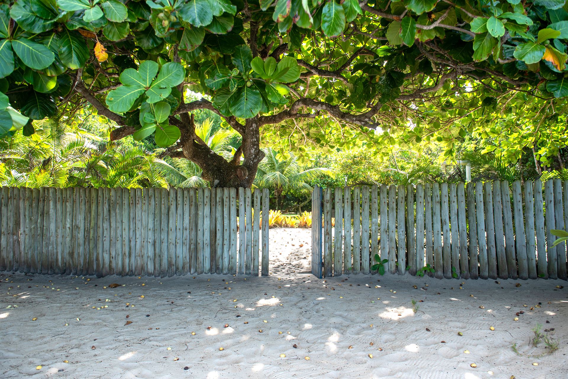 Aluguel casa de luxoTrancoso, Villa 58